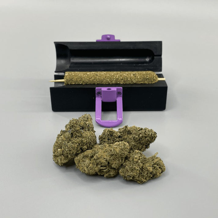 Small CannaMold Kit