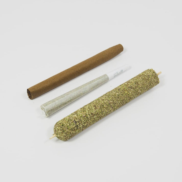 CannaMold Kit (Large)