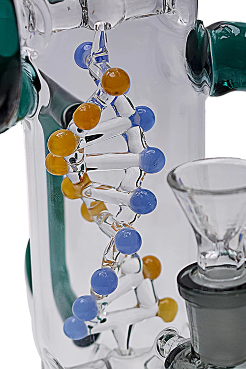 Dragon DNA Perc