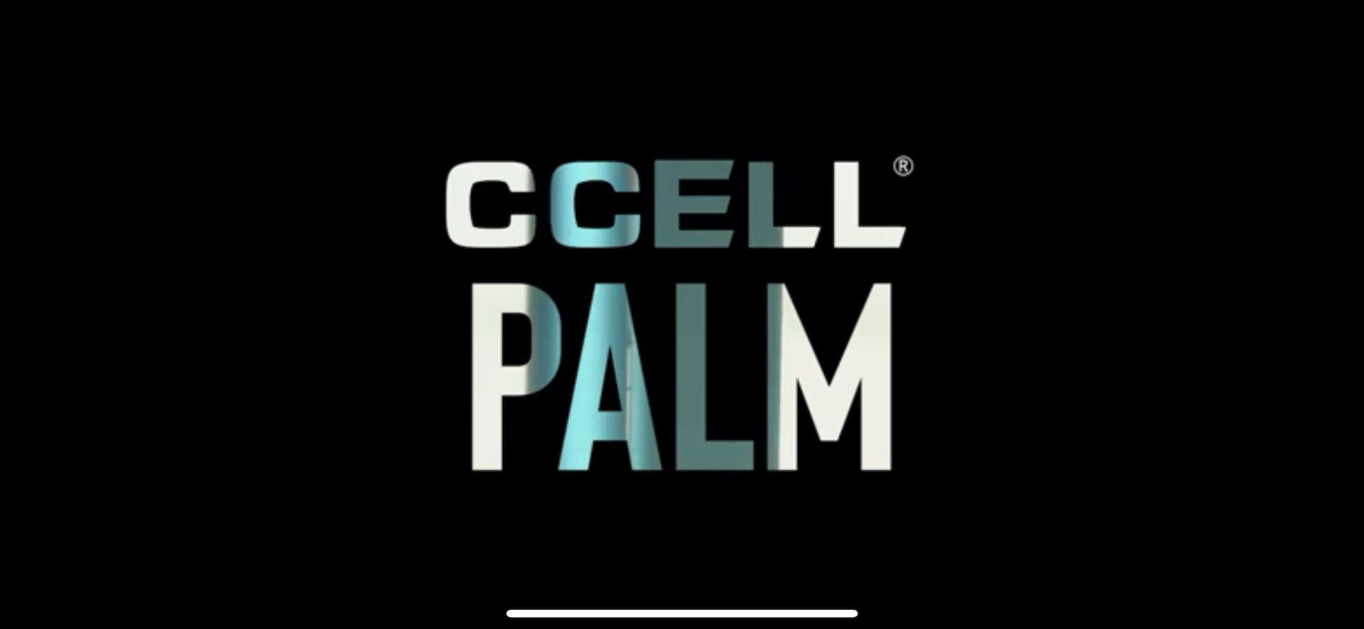 Palm Pro