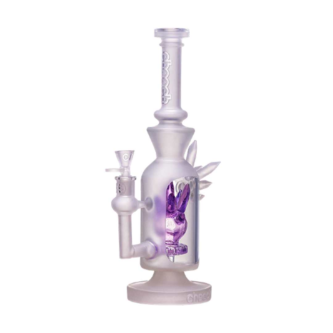 13-inch Color Cristoliona Bong