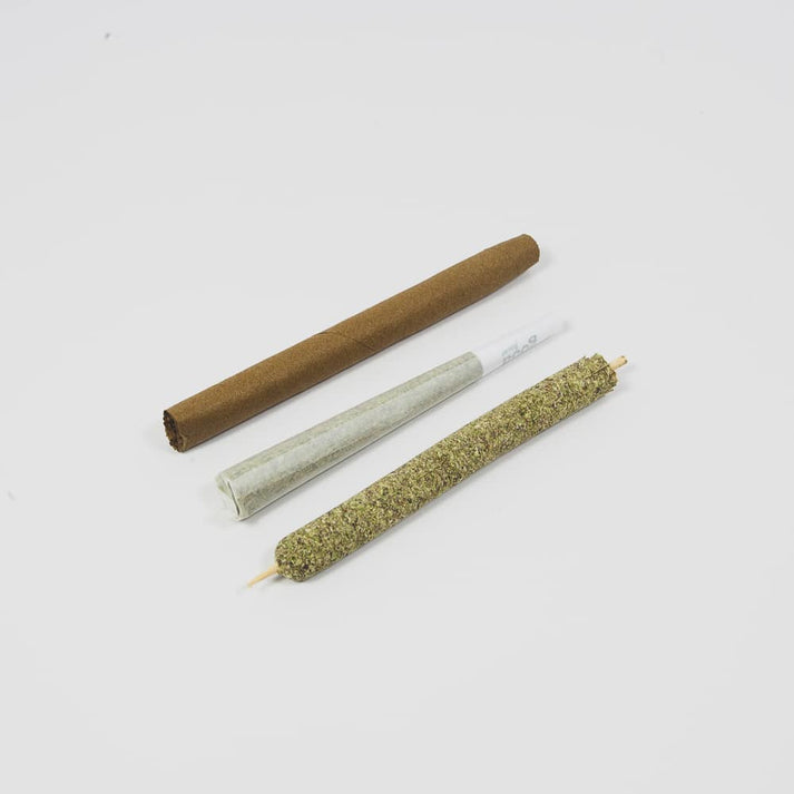 Personal CannaMold Kit