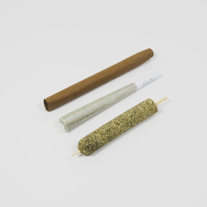 Small CannaMold Kit