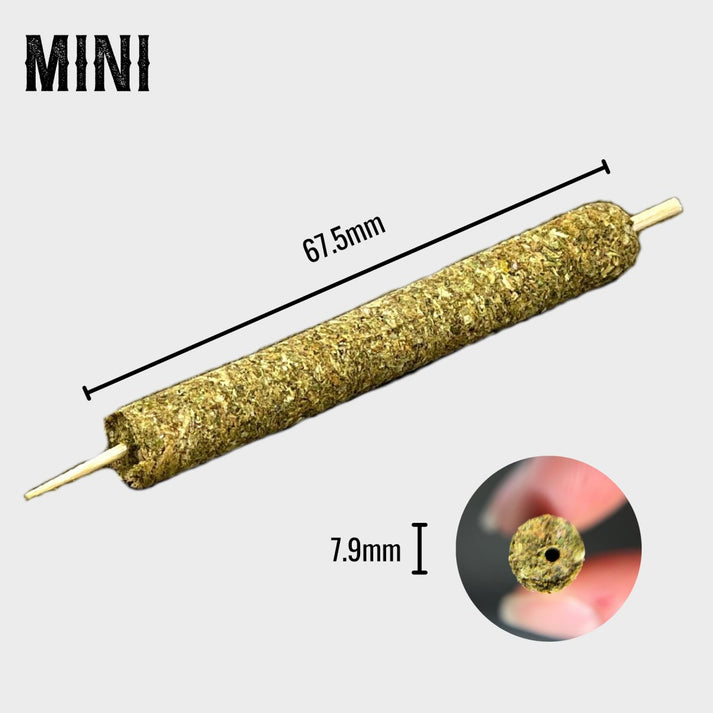 Mini Mold CannaMold Kit